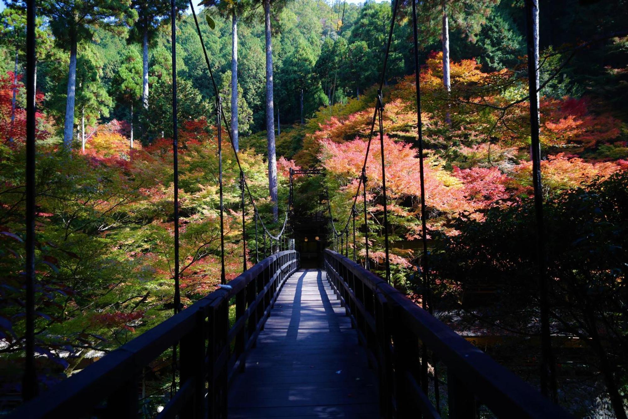 Momijiya Annex — Photos 3